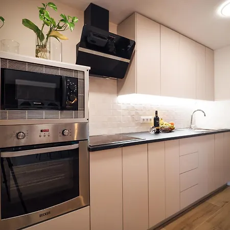 Tulipanes * 산타크루스데 테네리페