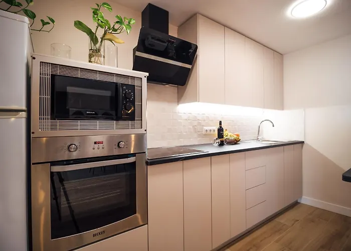 Tulipanes * 산타크루스데 테네리페