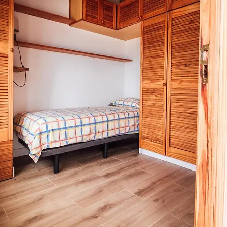 Tulipanes Santa Cruz de Tenerife