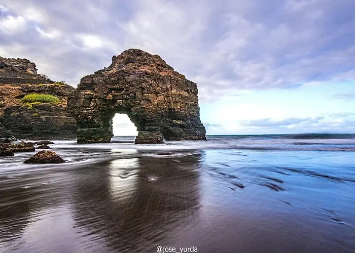 Tulipanes سانتا كروز دي تينيريف