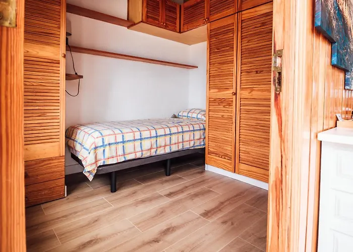 Tulipanes سانتا كروز دي تينيريف